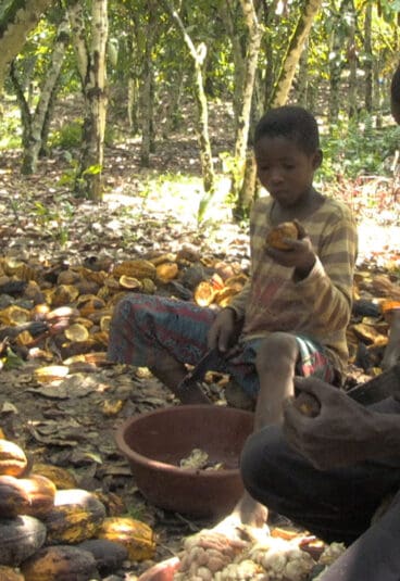 The Dark Side of Chocolate – Interview with Kim Chirstiansen (DR)