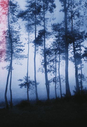 Production grants for Haider Rashid’s new feature film