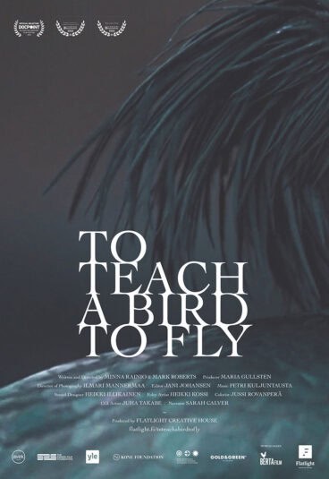 To Teach a Bird To Fly