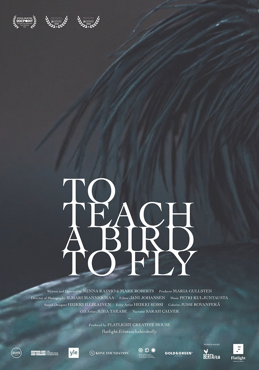 poster to teach a bird to fly short film documentary northern bald ibis