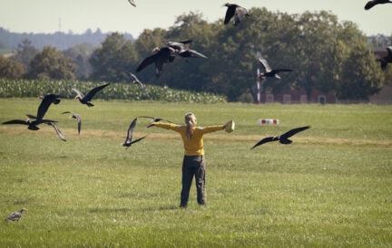To Teach a Bird to Fly