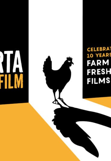 A streaming aggregator and a research & development new division for Berta Film&rsquo;s 10th anniversary