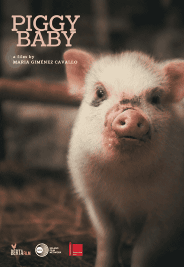 Piggy Baby